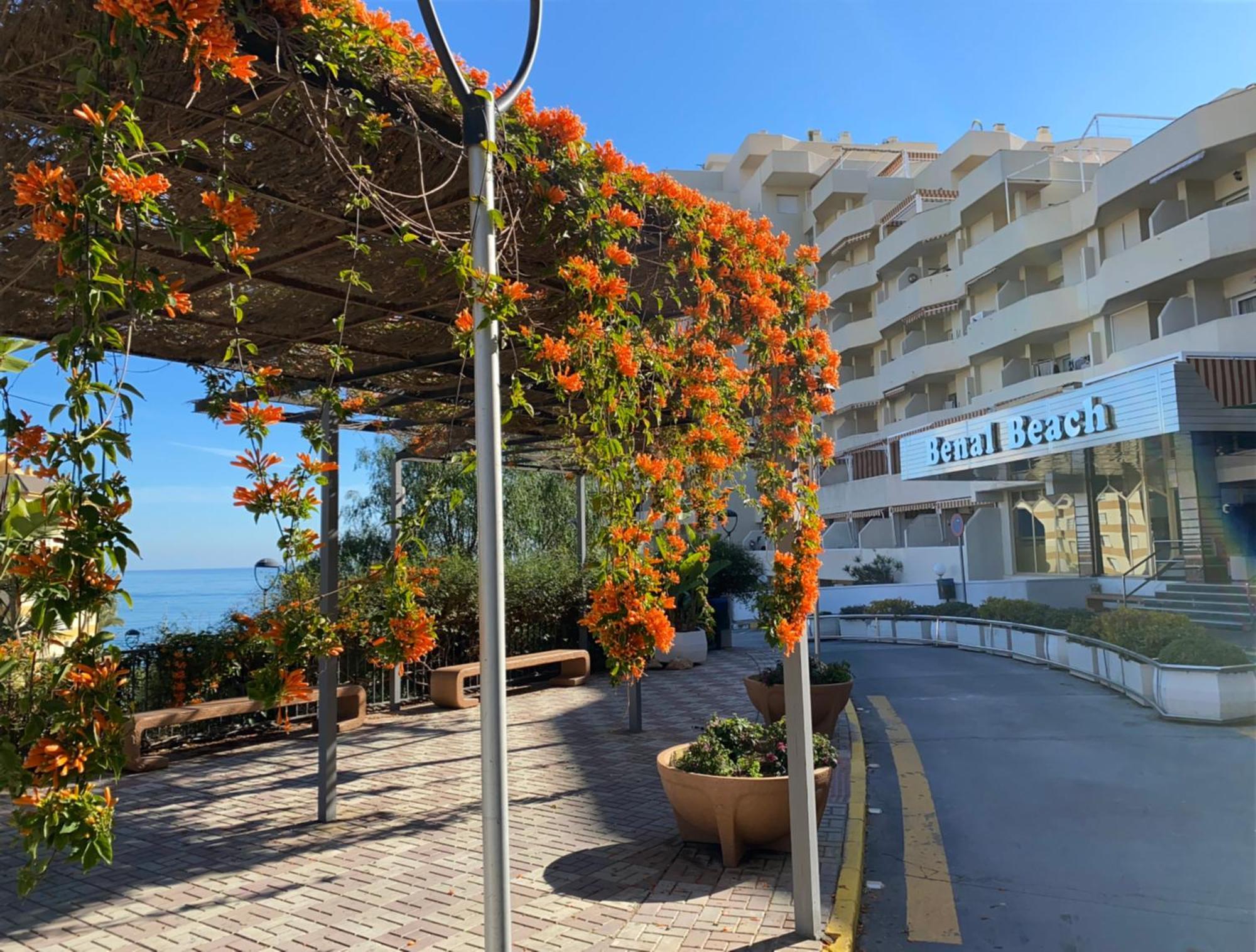 Benal Beach Apartamento Mountain View Бенальмадена Екстер'єр фото